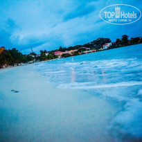 фото из отзыва ID 779981