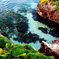 фото из отзыва ID 779981