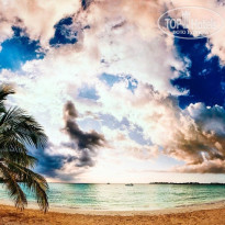 фото из отзыва ID 779981