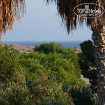 фото из отзыва ID 779627