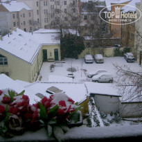 фото из отзыва ID 77967