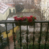 фото из отзыва ID 77967