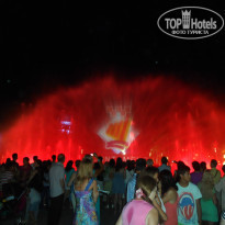 фото из отзыва ID 780083