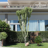 фото из отзыва ID 780256