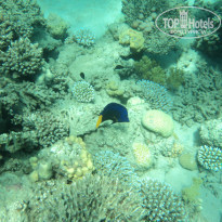 фото из отзыва ID 780309