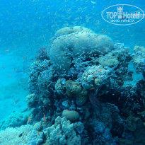 фото из отзыва ID 780309