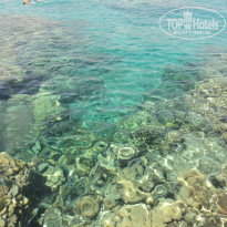 фото из отзыва ID 780309