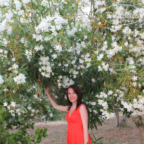 фото из отзыва ID 780453