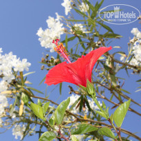 фото из отзыва ID 780453