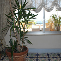 фото из отзыва ID 780874