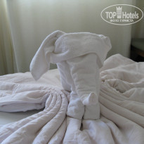 фото из отзыва ID 780831