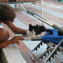 фото из отзыва ID 781277