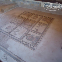 фото из отзыва ID 781338