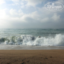 фото из отзыва ID 781482