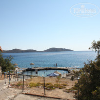 фото из отзыва ID 781563