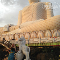 фото из отзыва ID 781578