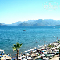 фото из отзыва ID 781739