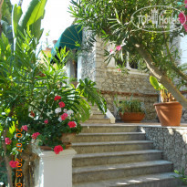 фото из отзыва ID 781789