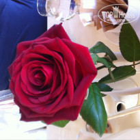 фото из отзыва ID 781792