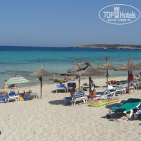 фото из отзыва ID 781811