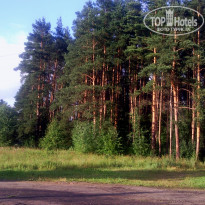 фото из отзыва ID 781858