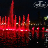 фото из отзыва ID 781899