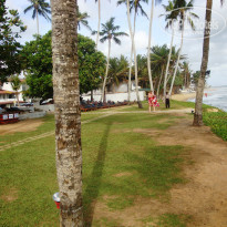 фото из отзыва ID 781967