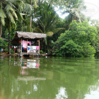 фото из отзыва ID 781967