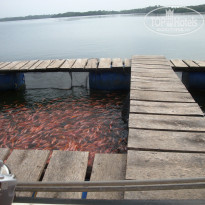 фото из отзыва ID 781967