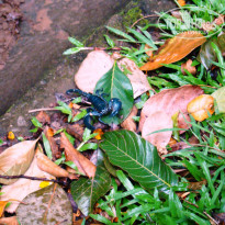 фото из отзыва ID 781967