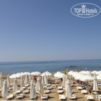 фото из отзыва ID 781276