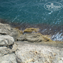 фото из отзыва ID 781542