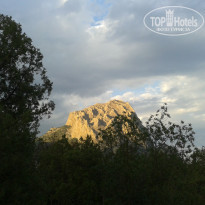 фото из отзыва ID 781542