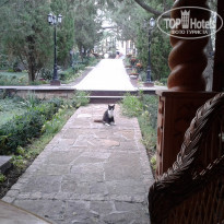 фото из отзыва ID 781542