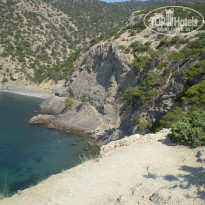 фото из отзыва ID 781542