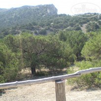 фото из отзыва ID 781542