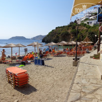 фото из отзыва ID 781857