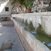 фото из отзыва ID 781486