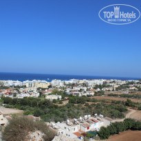 фото из отзыва ID 782026