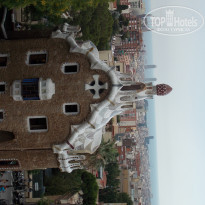 фото из отзыва ID 782022