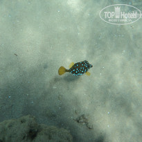 фото из отзыва ID 782109