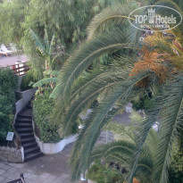 фото из отзыва ID 782285