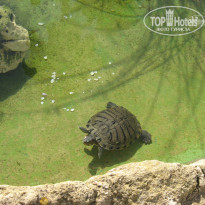 фото из отзыва ID 782301