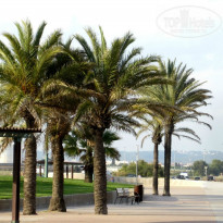 фото из отзыва ID 782501