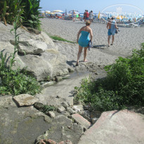 фото из отзыва ID 782831