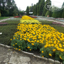 фото из отзыва ID 783206