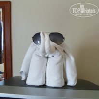 фото из отзыва ID 783234