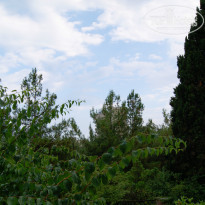 фото из отзыва ID 783744