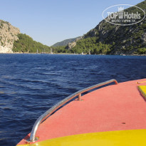 фото из отзыва ID 783757