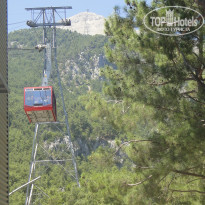 фото из отзыва ID 783757